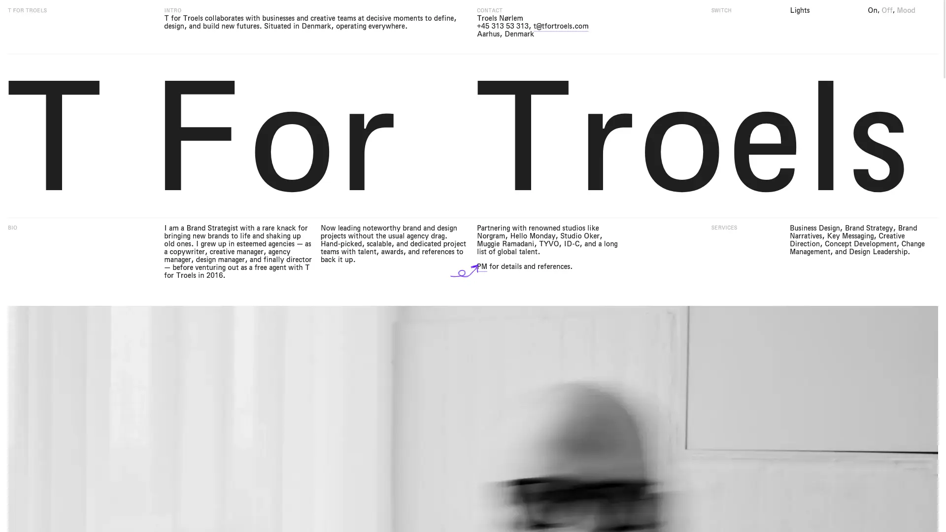 Screenshot of T for Troels Pricing Page