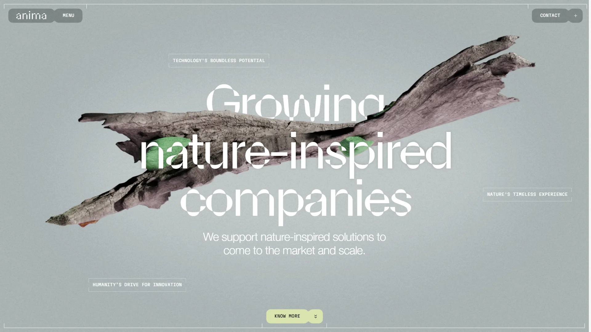 Screenshot of Anima Pricing Page