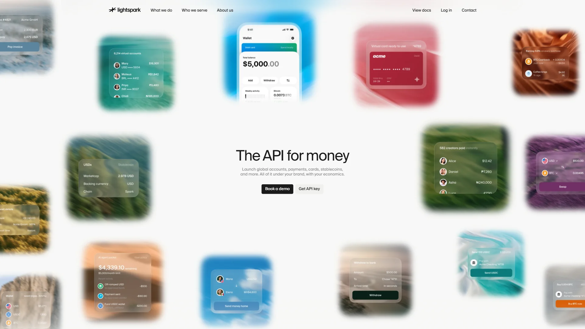 Screenshot of Lightspark Pricing Page